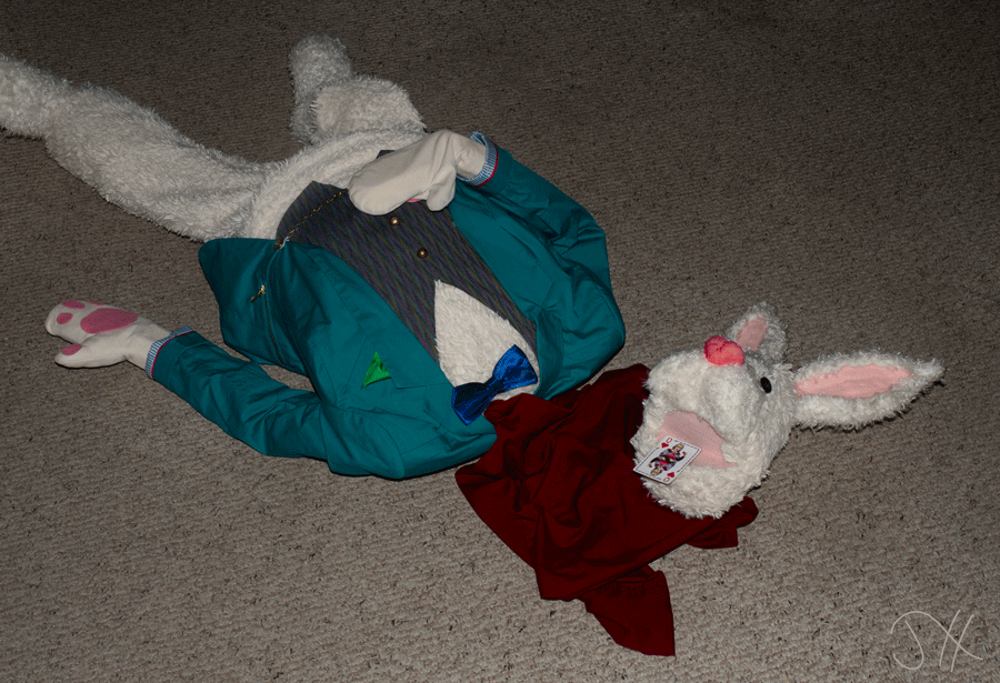 A puppet of the White Rabbit from Alice's Adventures in Wonderland with its head removed and a Queen of Hearts playing card in its mouth. A piece of red fabric is used to simulate blood.
